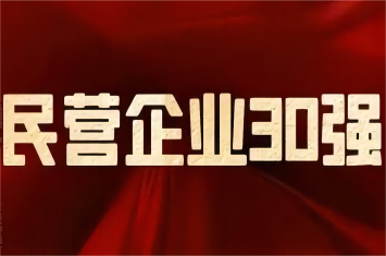 南阳民营企业及制造业30强榜单发布，九游官方网页版集团荣登前三